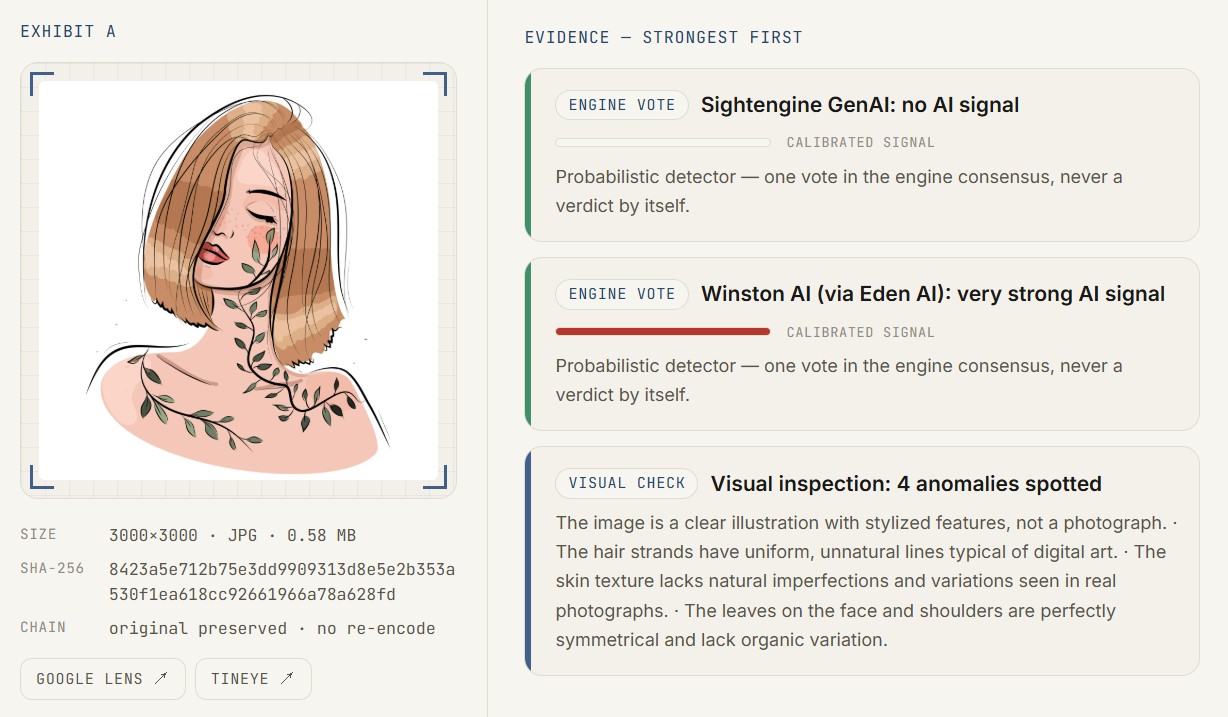 Report: Digital illustration